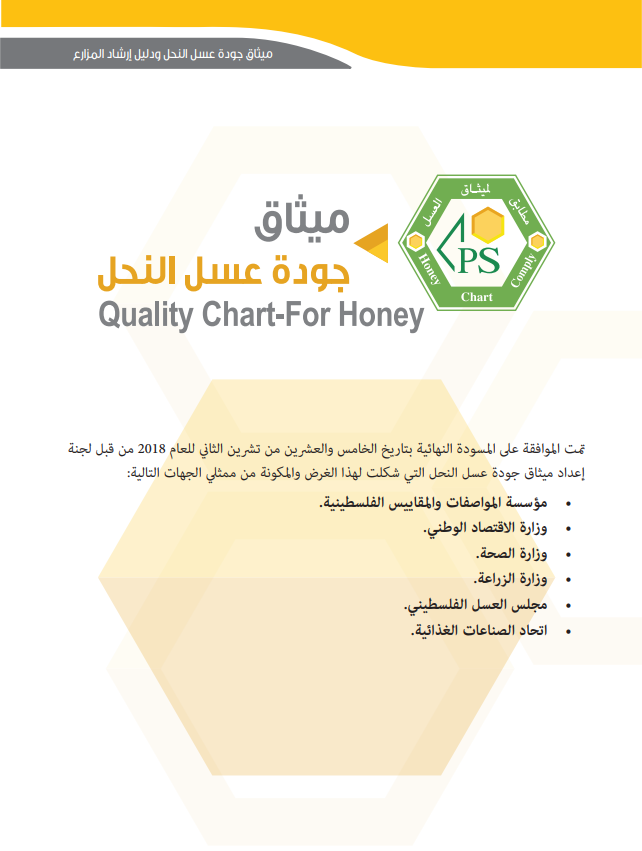 صورة الإصدار